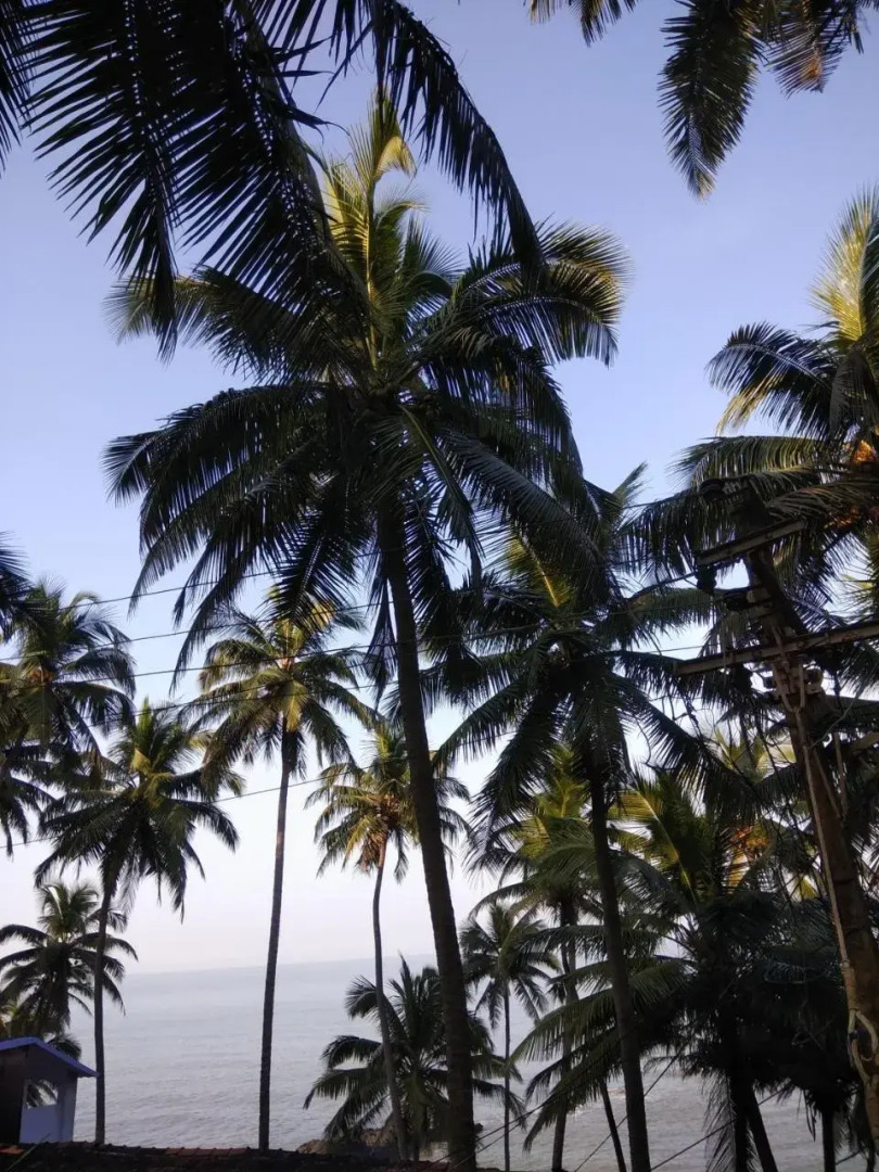 Goroomgo Om Ganesh Naik Cliff Side Guest House Goa