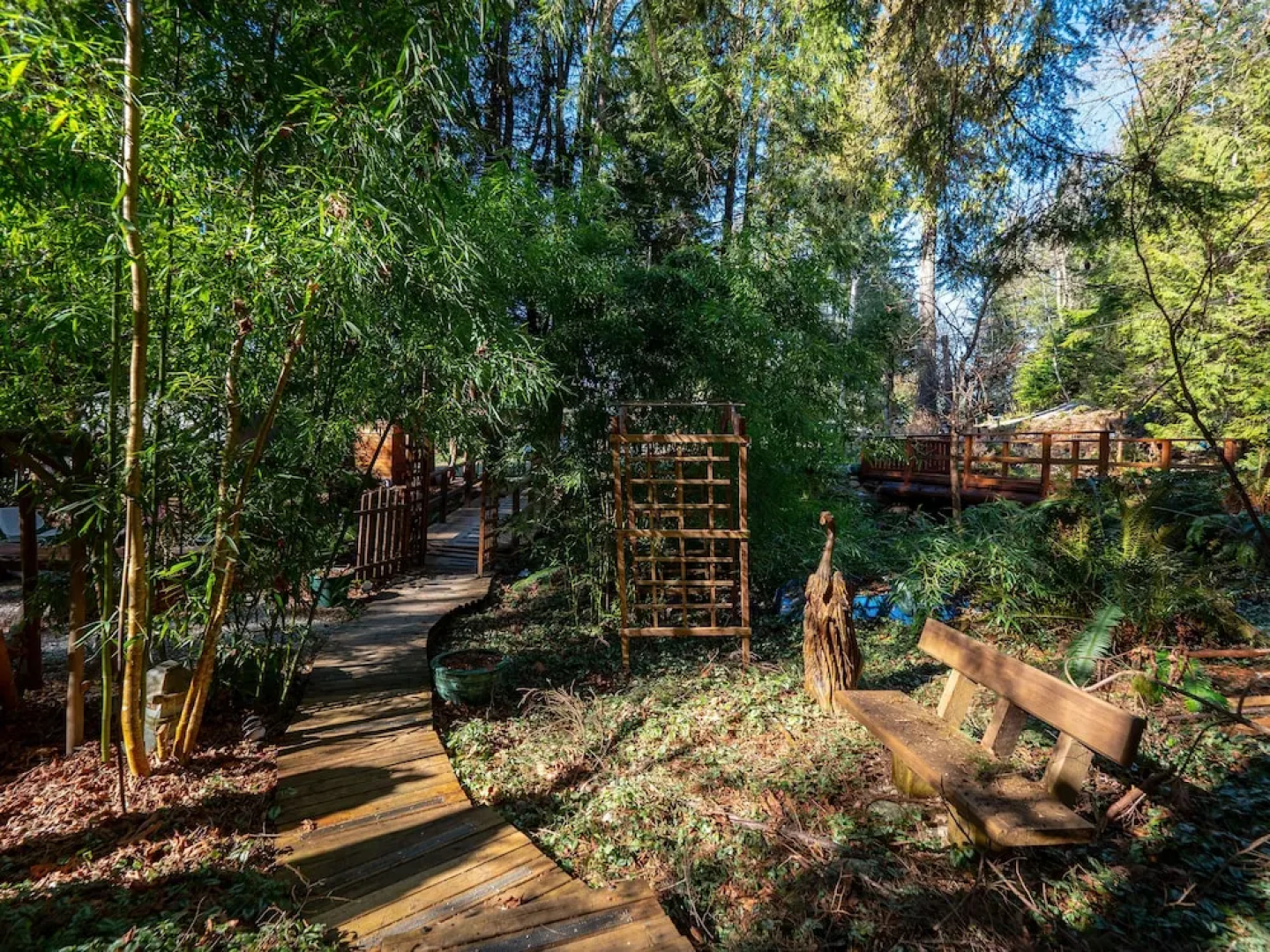 The Tree House Cottage