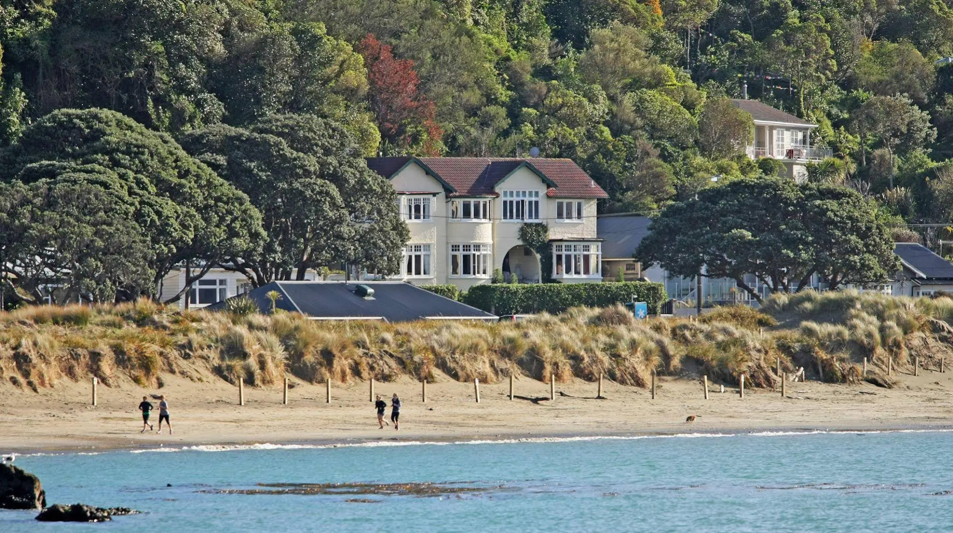 Beachfront Wellington Bed and Breakfast