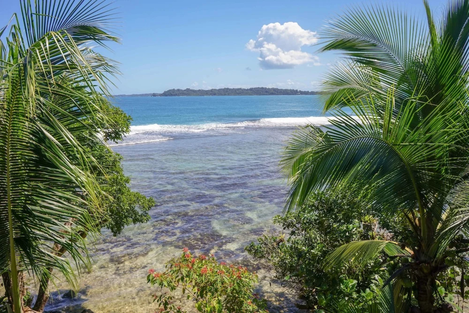 Mosana reef garden B&B