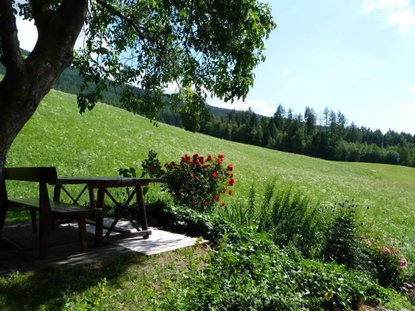 Pension Summererhof