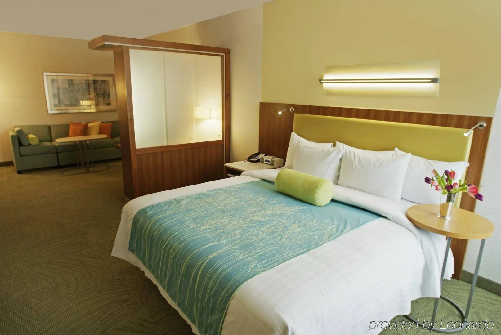 SpringHill Suites by Marriott Macon