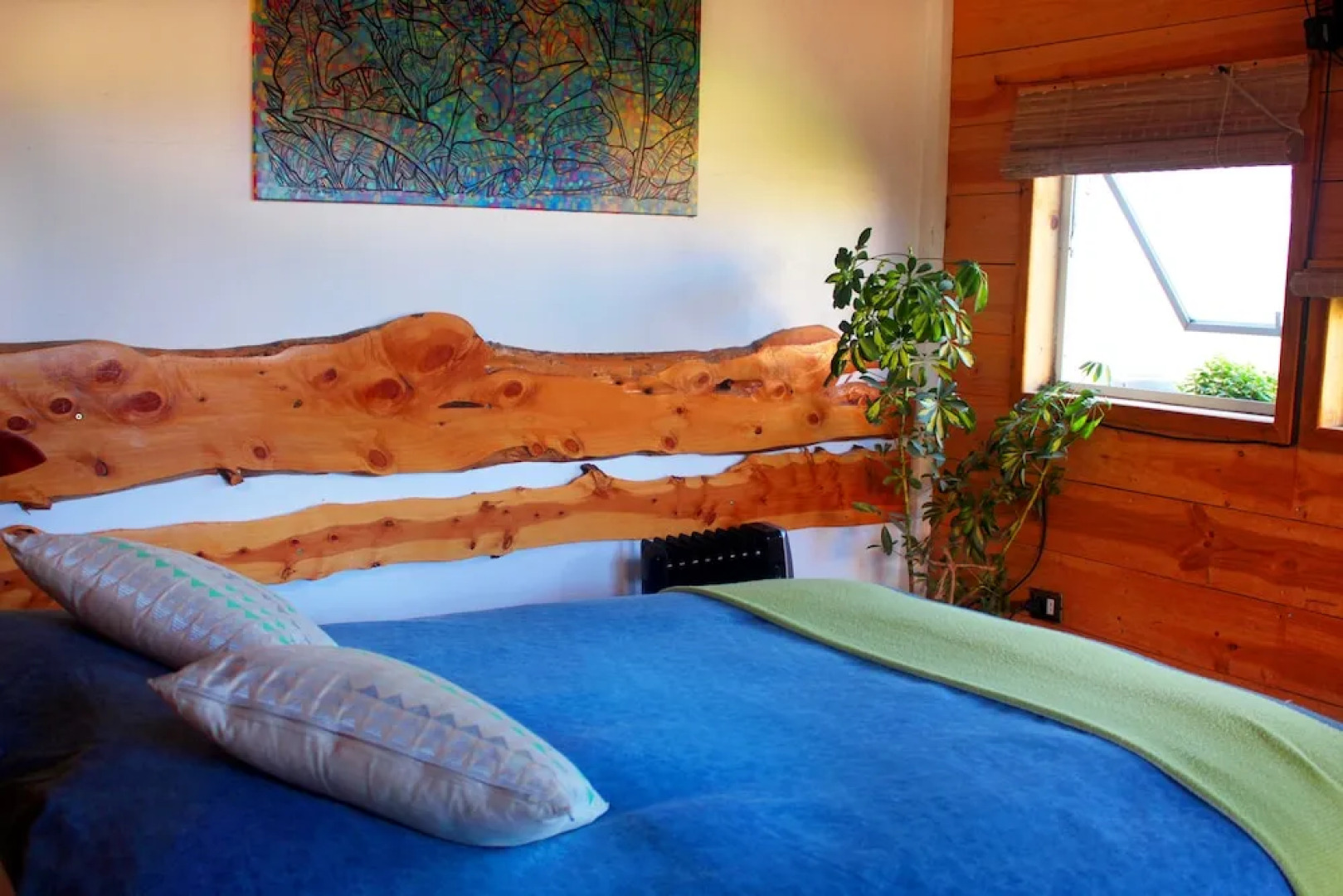 The Sirena Insolente Hostel