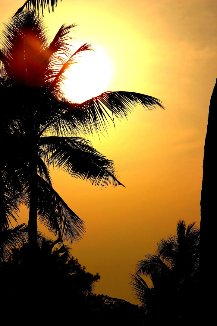 VGP Golden Beach Resort