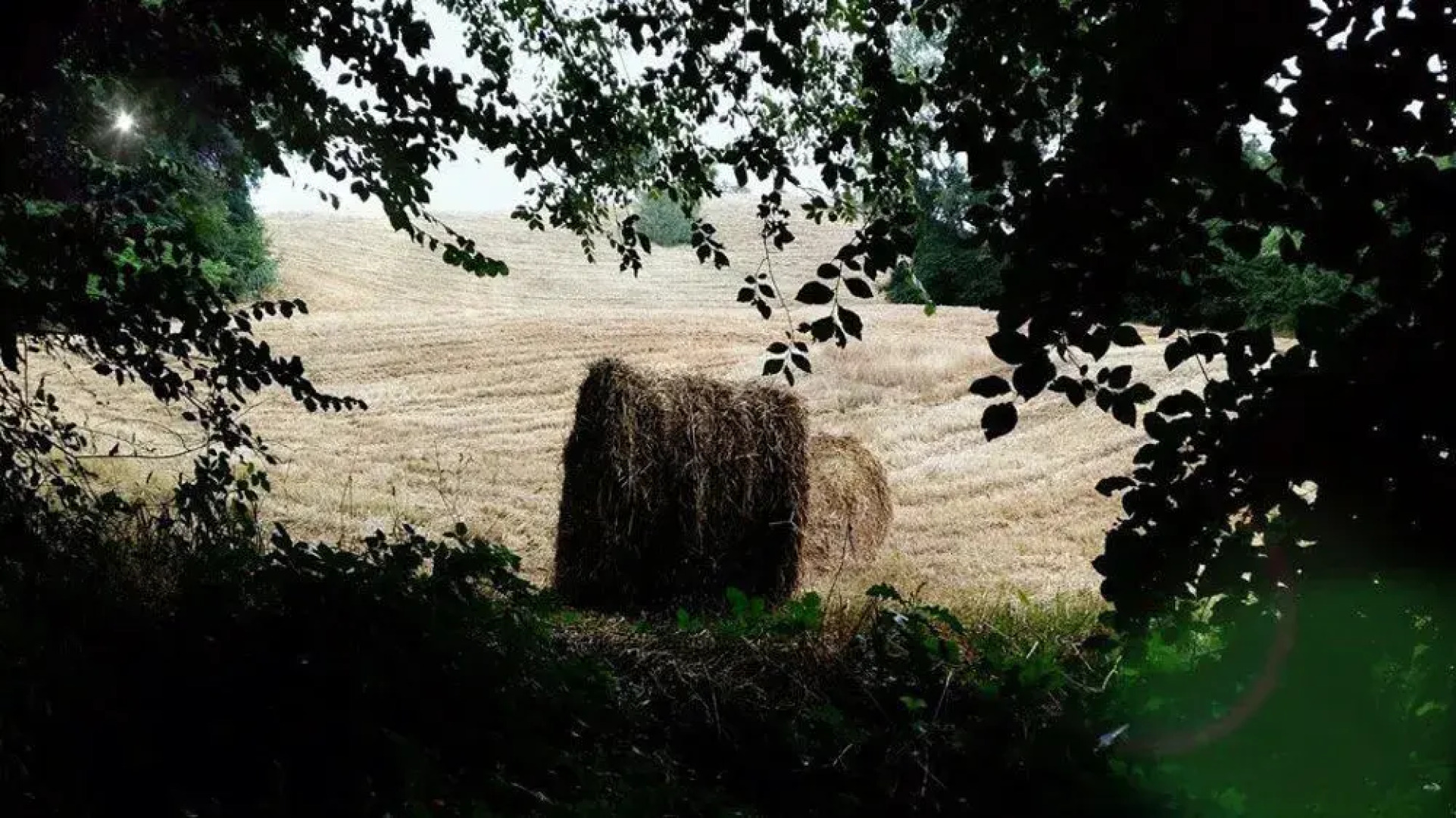 SassoErminia B&B Ecosostenibile