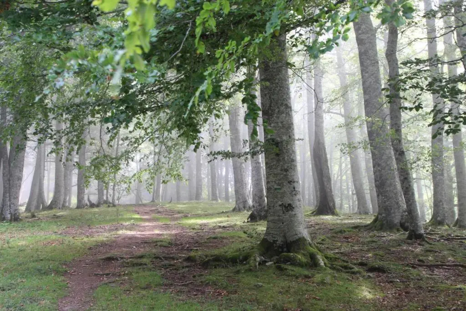 Apartamentos Zabalarena Artzaia