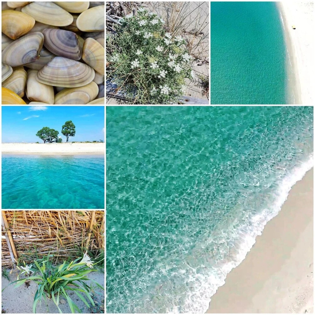 Apartment With 2 Bedrooms in Sellia Marina, With Furnished Balcony Near the Beach