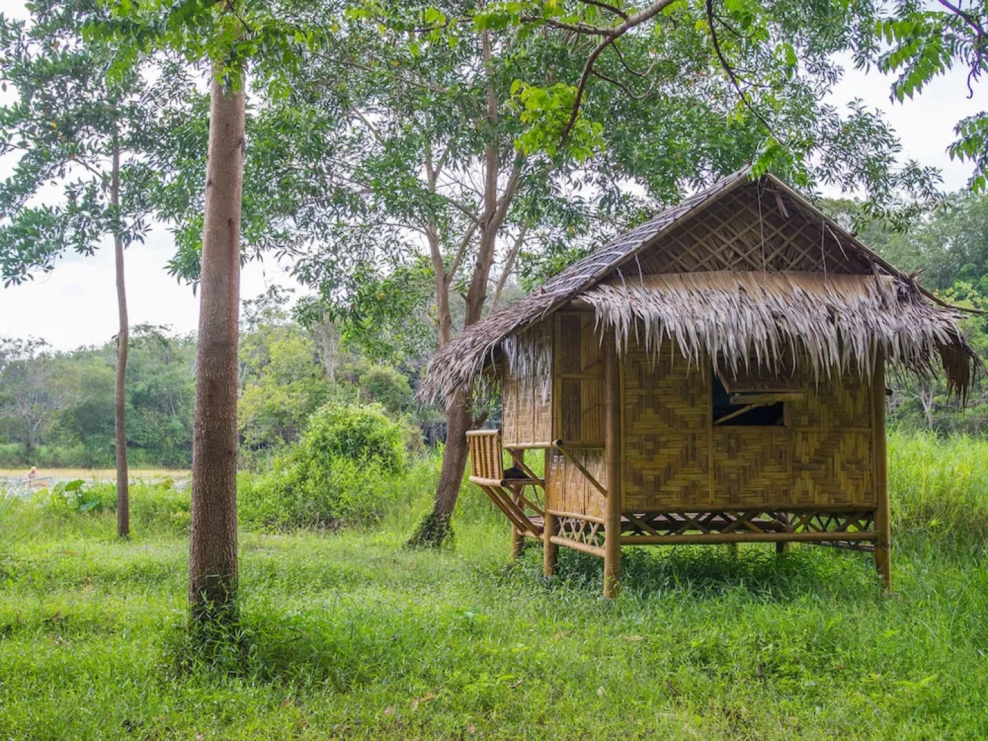 Wichai's Jungle Home Stay