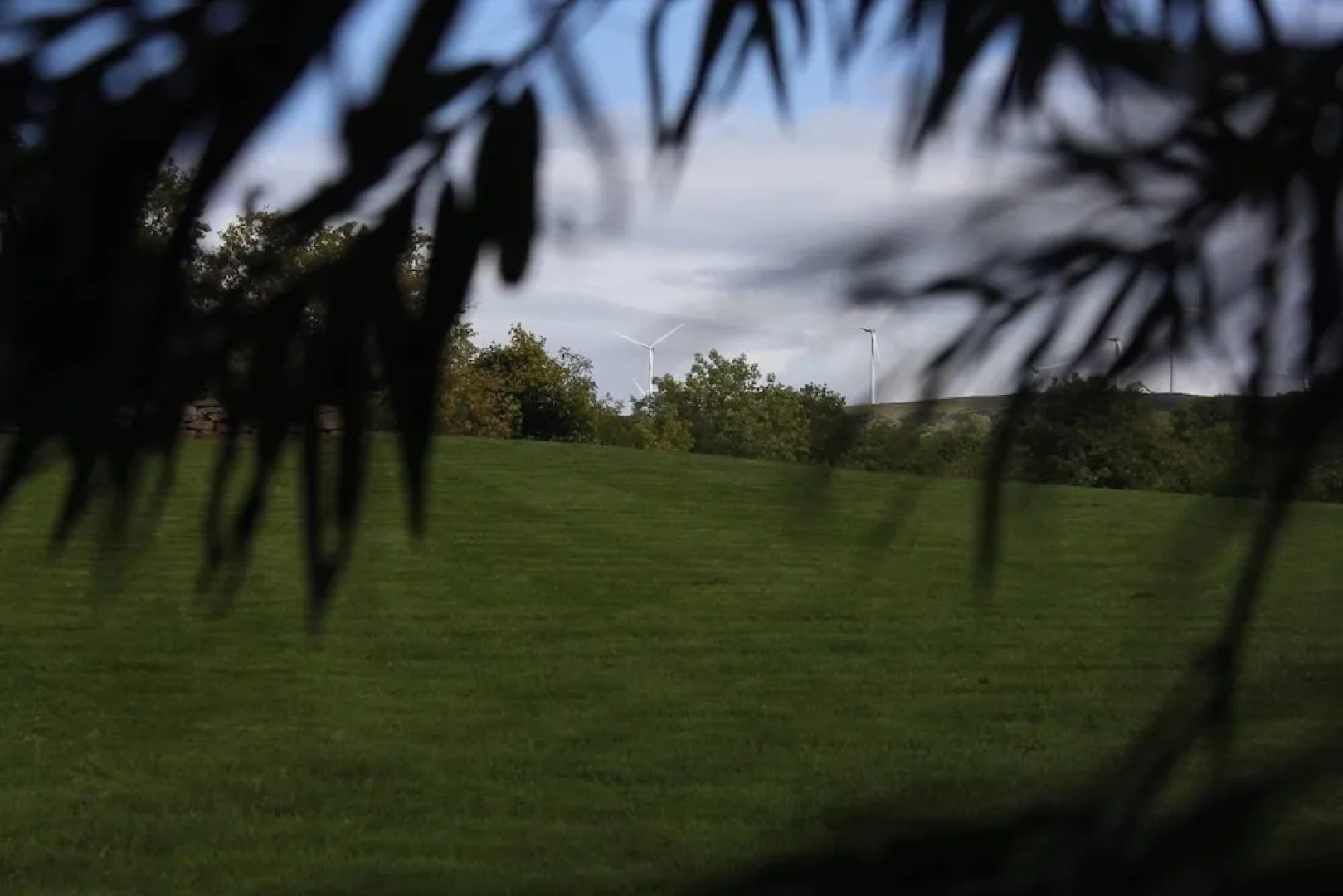 Roe Valley Manor and Estate