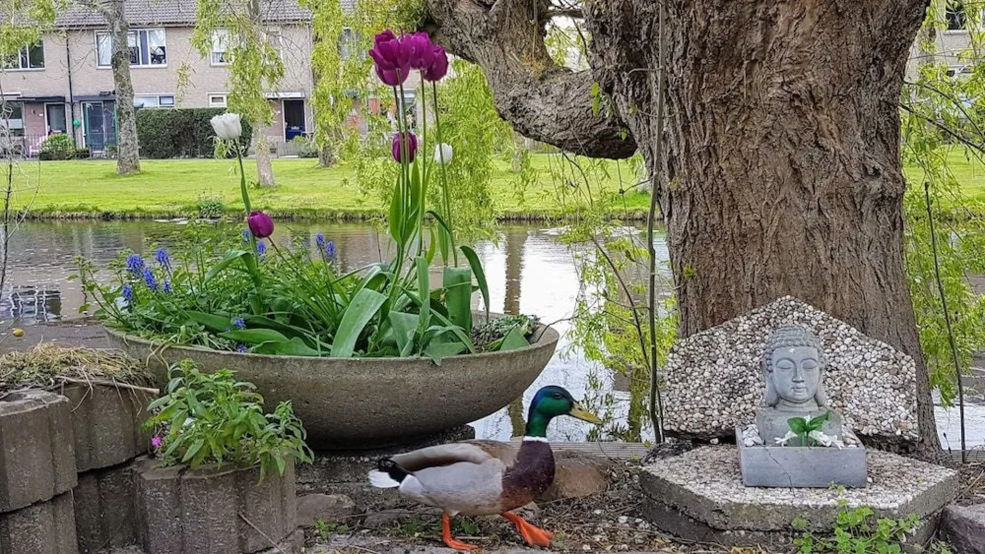Laag Holland Bed en Breakfast