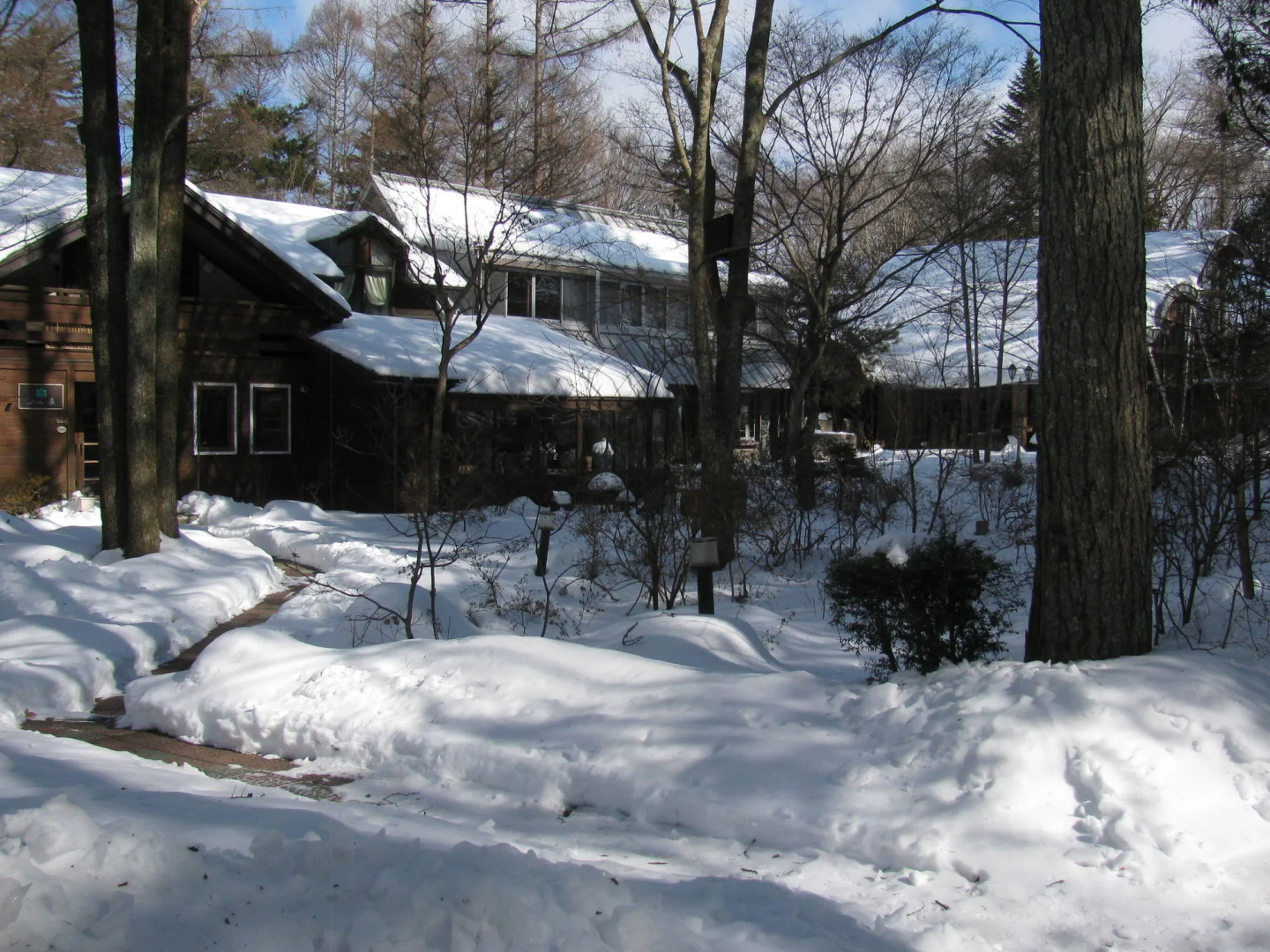 La Forest De Nome Karuizawa