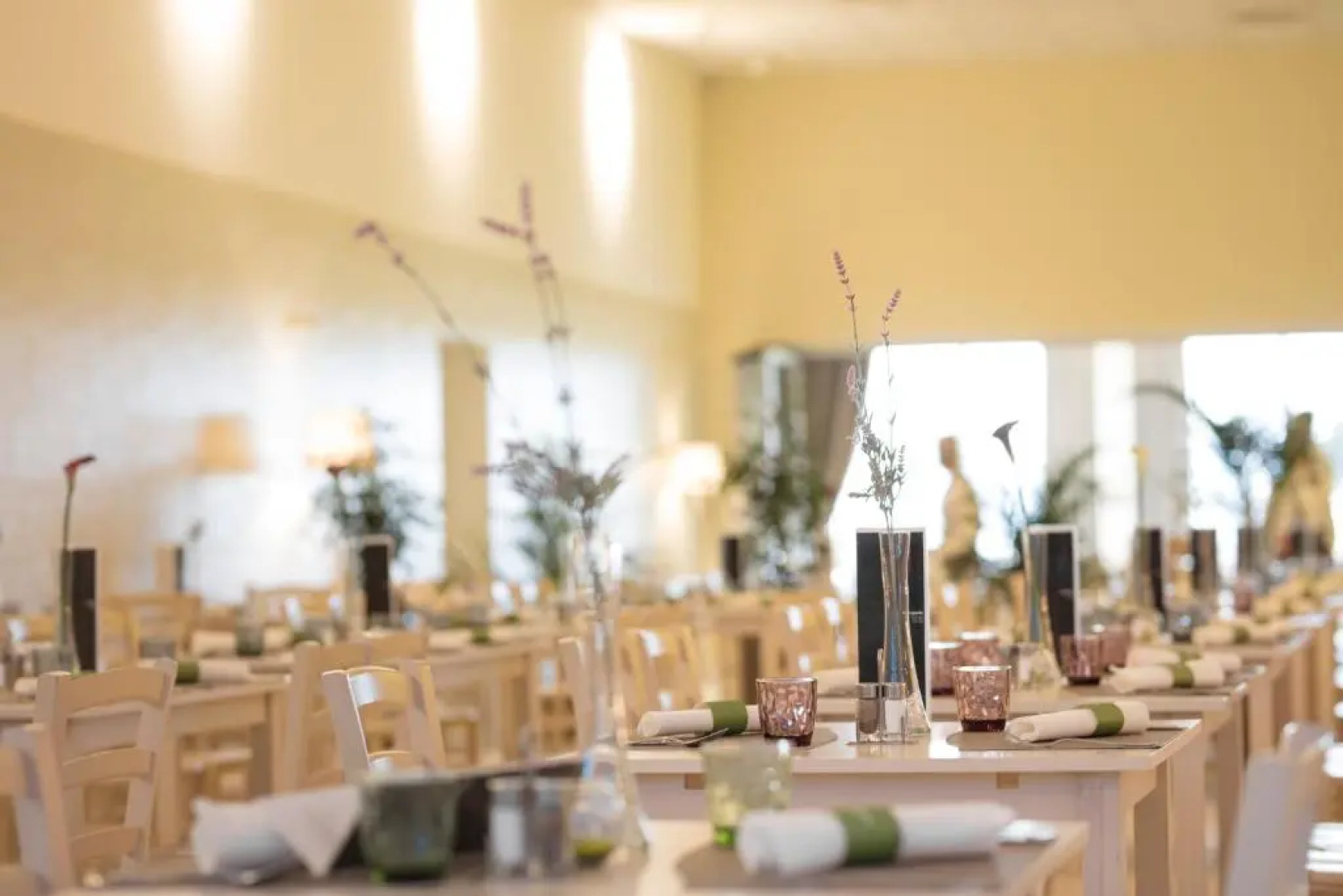 Mjus World Resort & Thermal Park