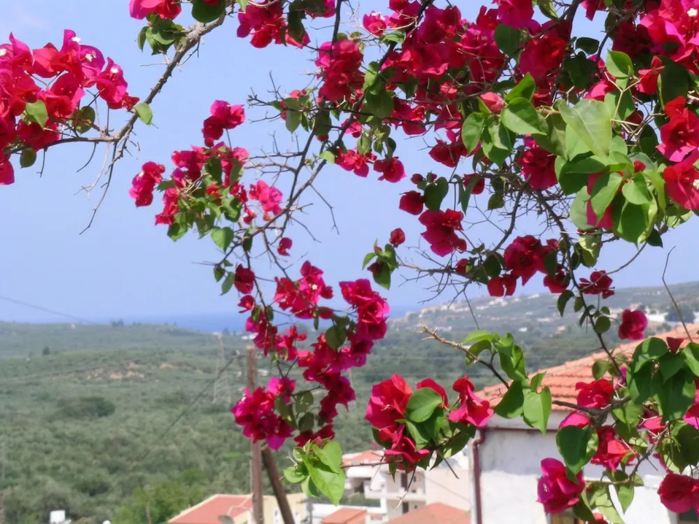 Fenareti Village House