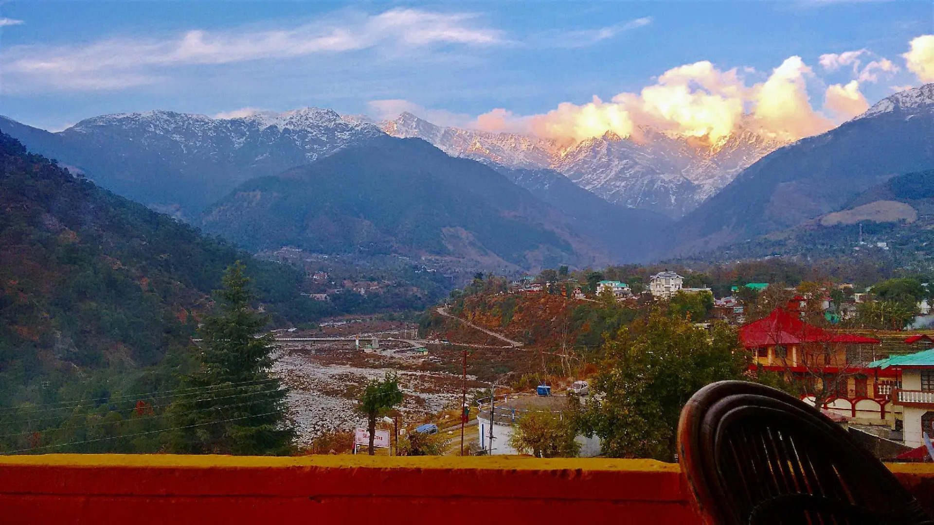 Little Mastiff Silver Oaks