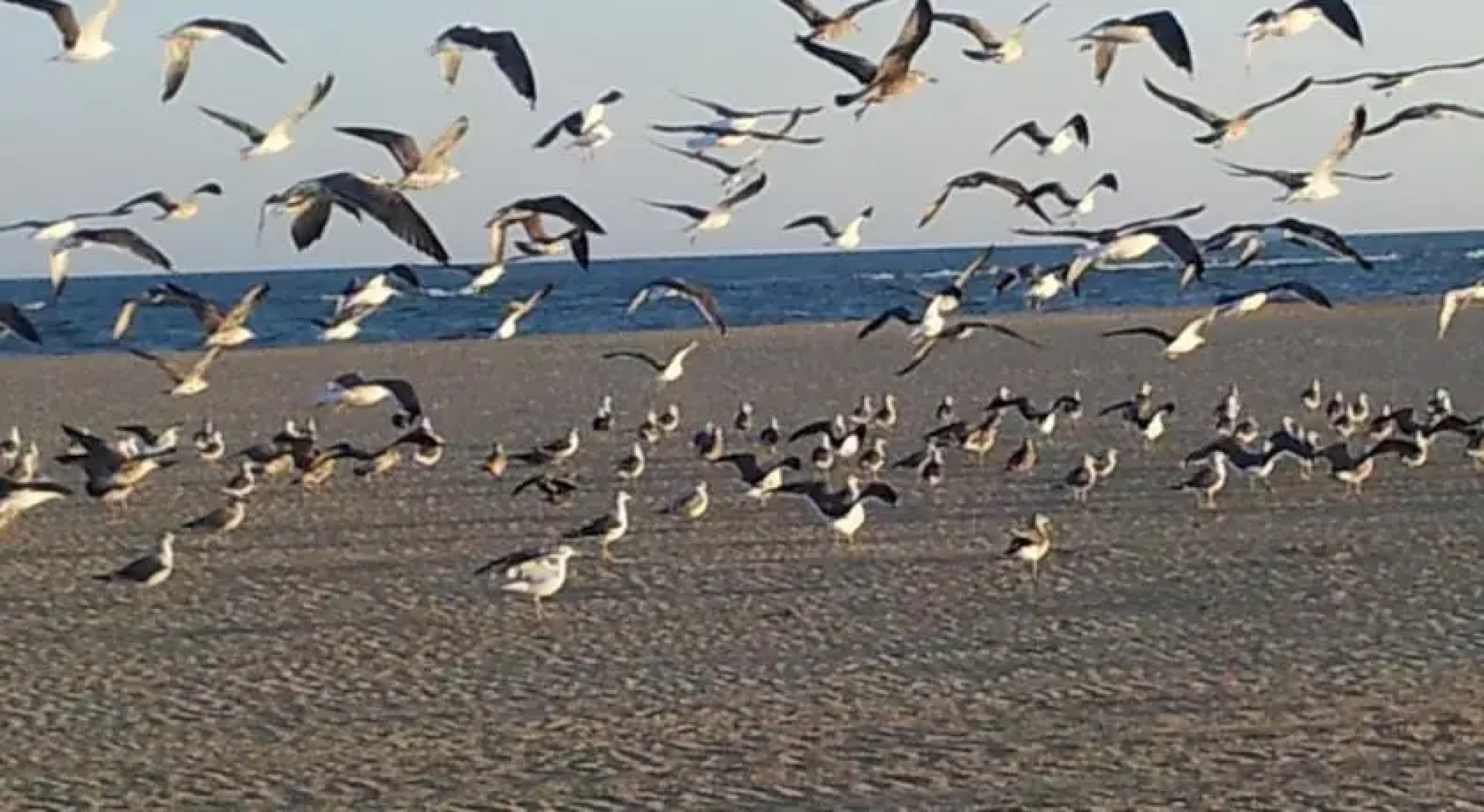 Apartamento en Isla Canela