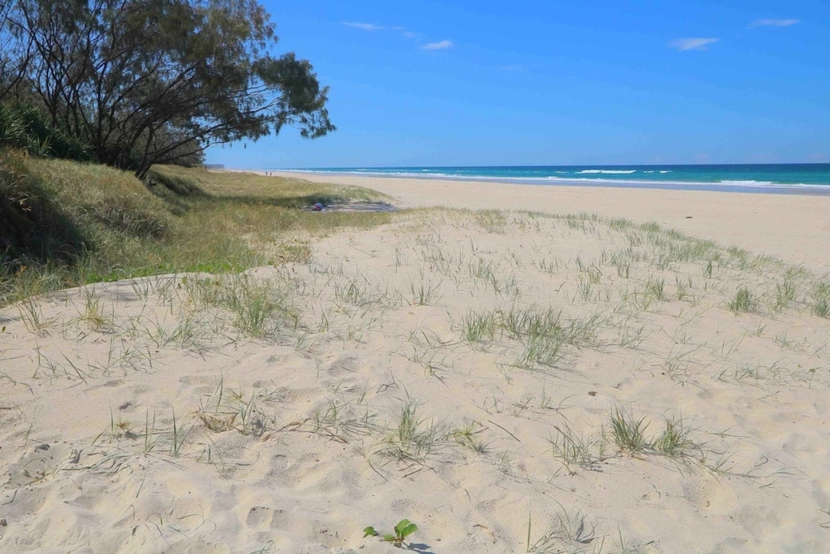 Casuarina Beach Haven - Pandanus 6