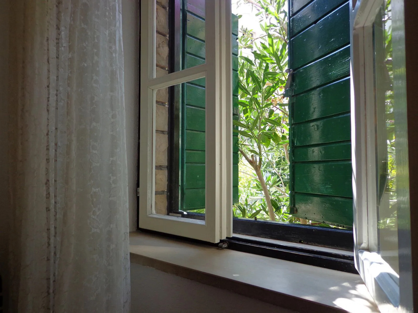 Apartment Brane - 150m from sea: A1 Bol, Island Brac