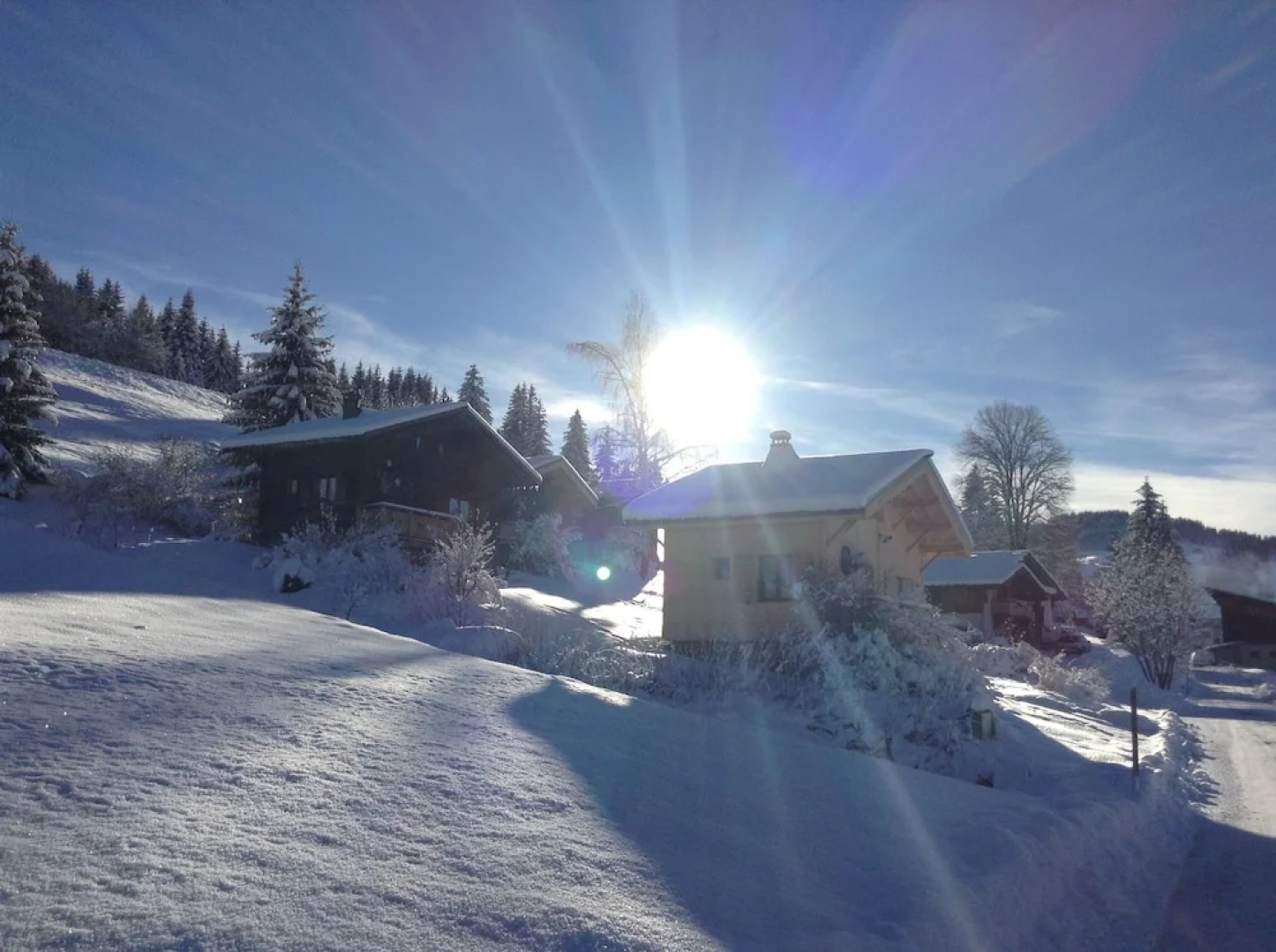 Chalets Savoie