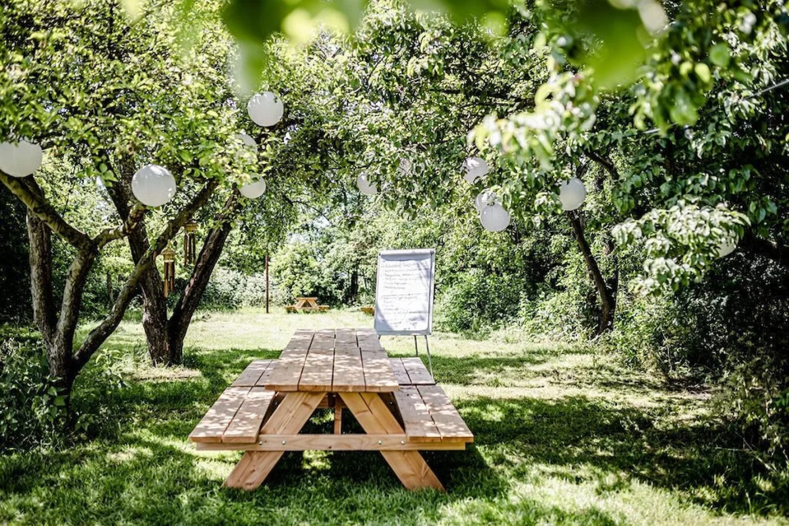 Tiny Parks Cast Away