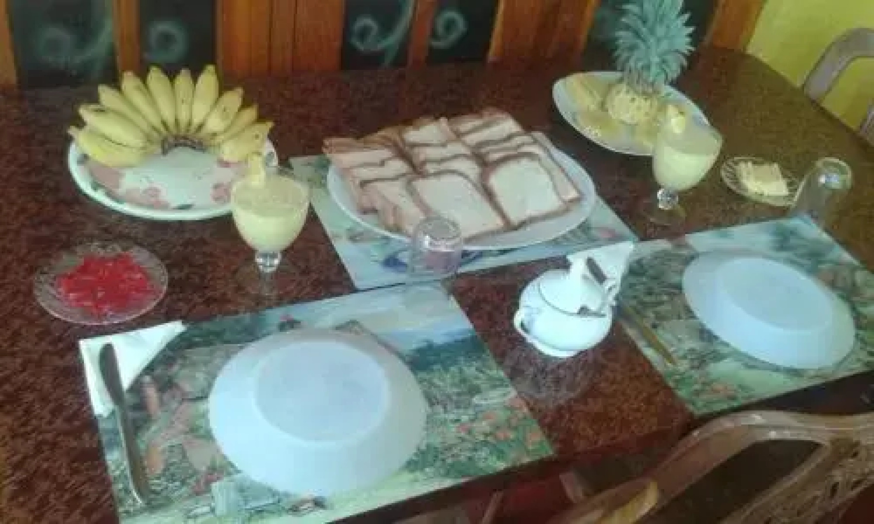 Elephant Reach Udawalawa