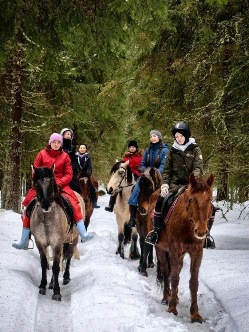 Дом Дракона в Яви-Нави