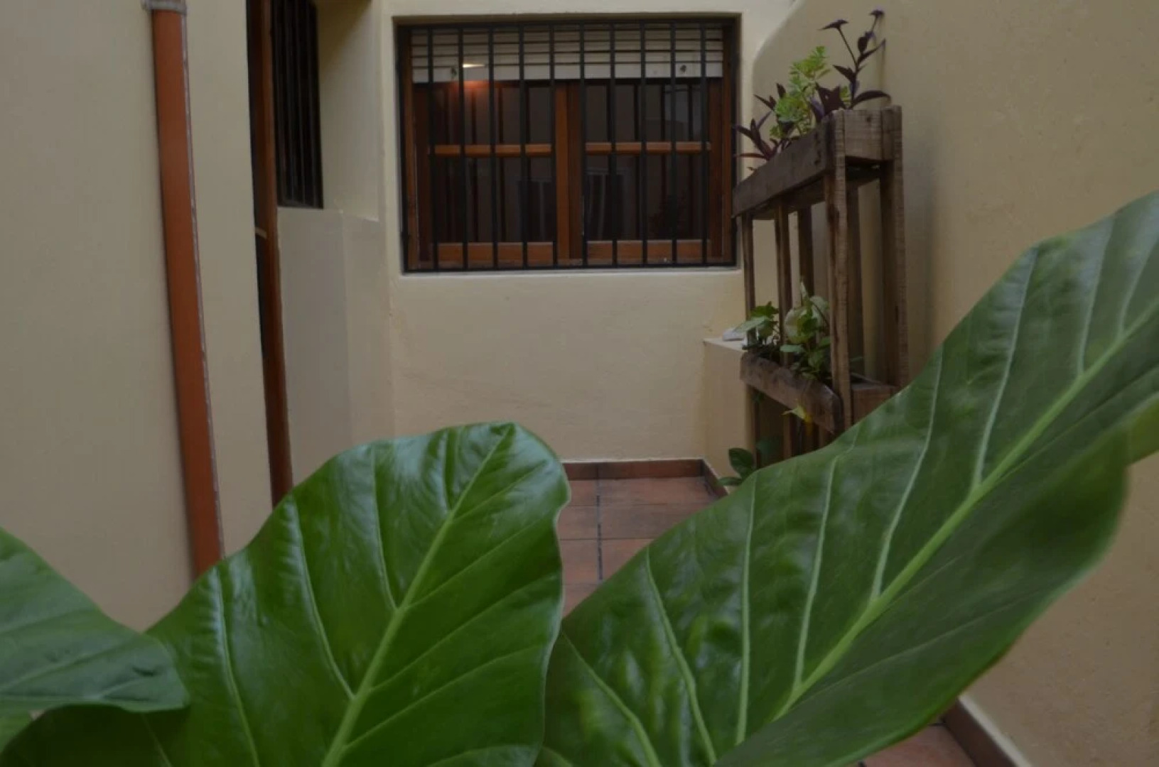 Drastuh Alojamientos Temporarios