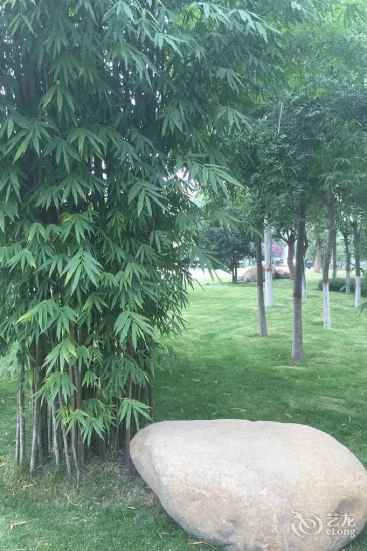 Tianrun Fullregal International Hotel