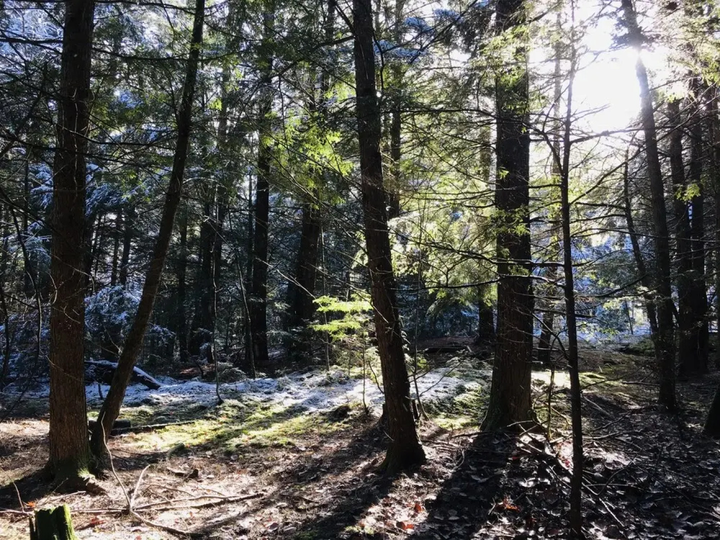 The Inn on Lake Champlain