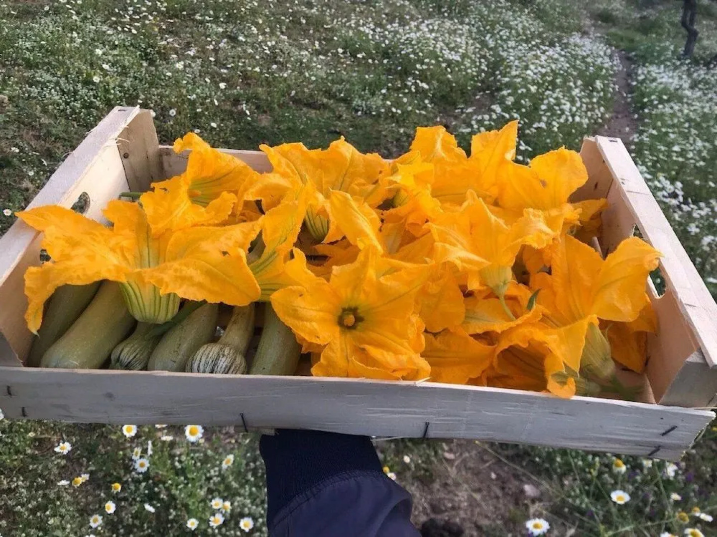 AHG Relais Agriturismo Pansera