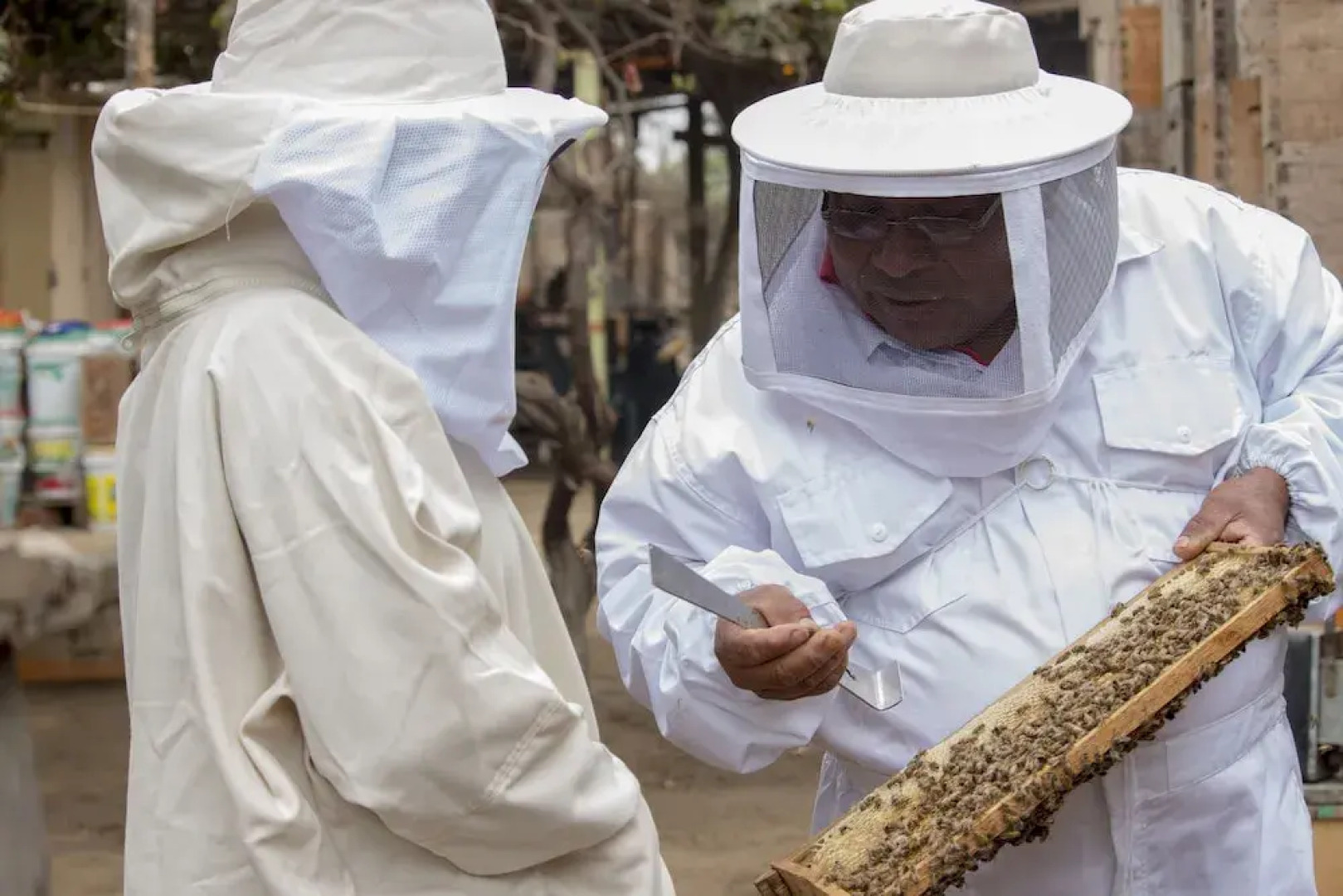 Ecolodge Huaca de Piedra