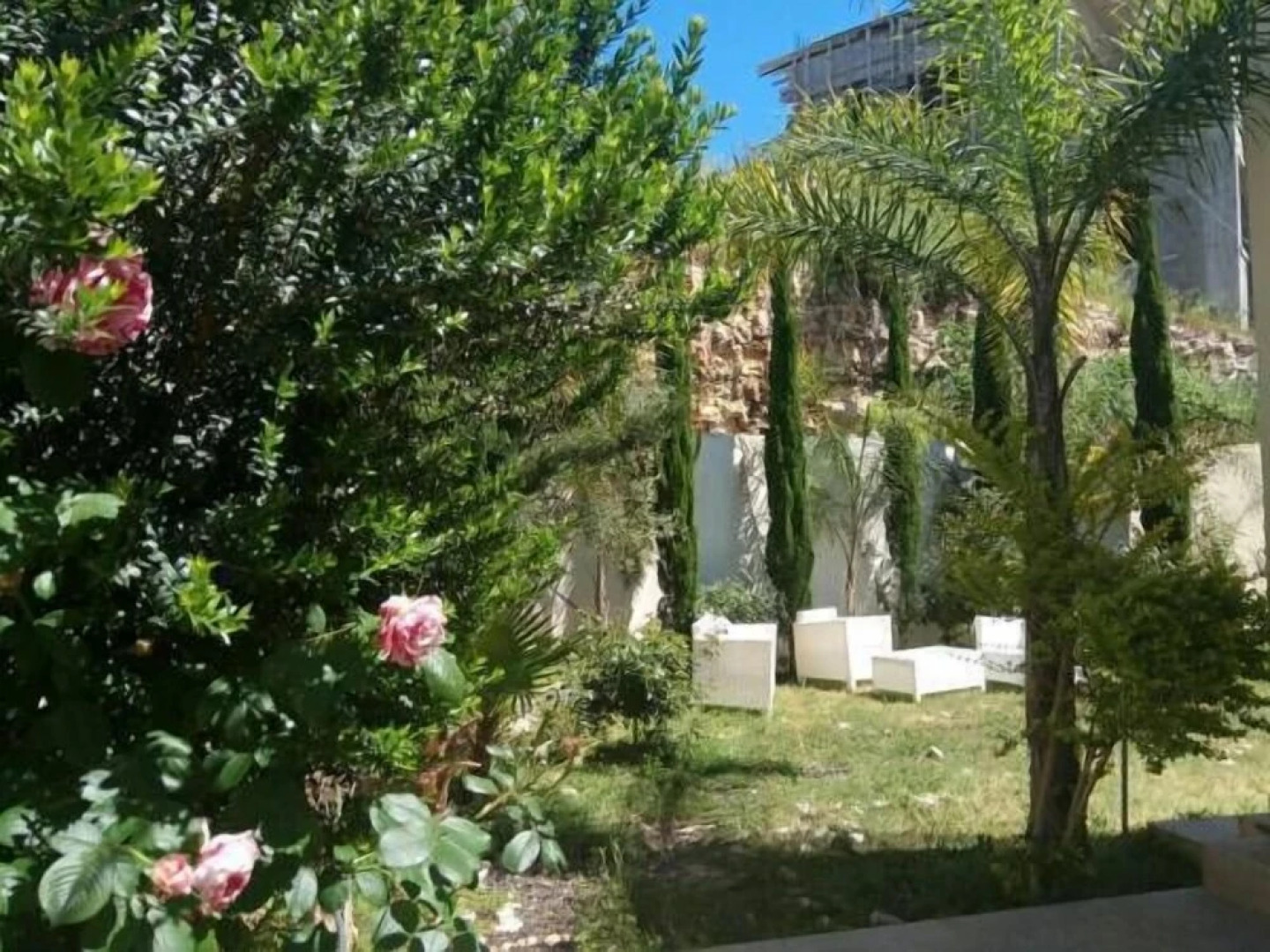 Villa in a natural grovea