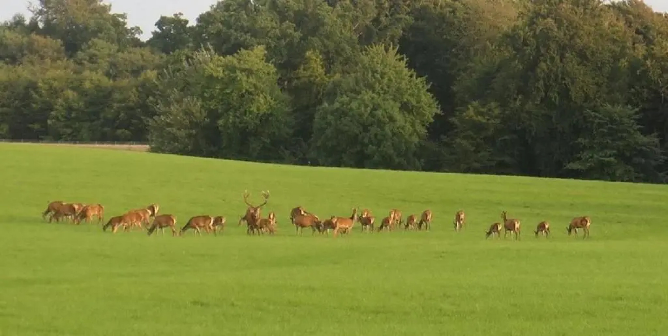 Jan og Inges Bed & Breakfast