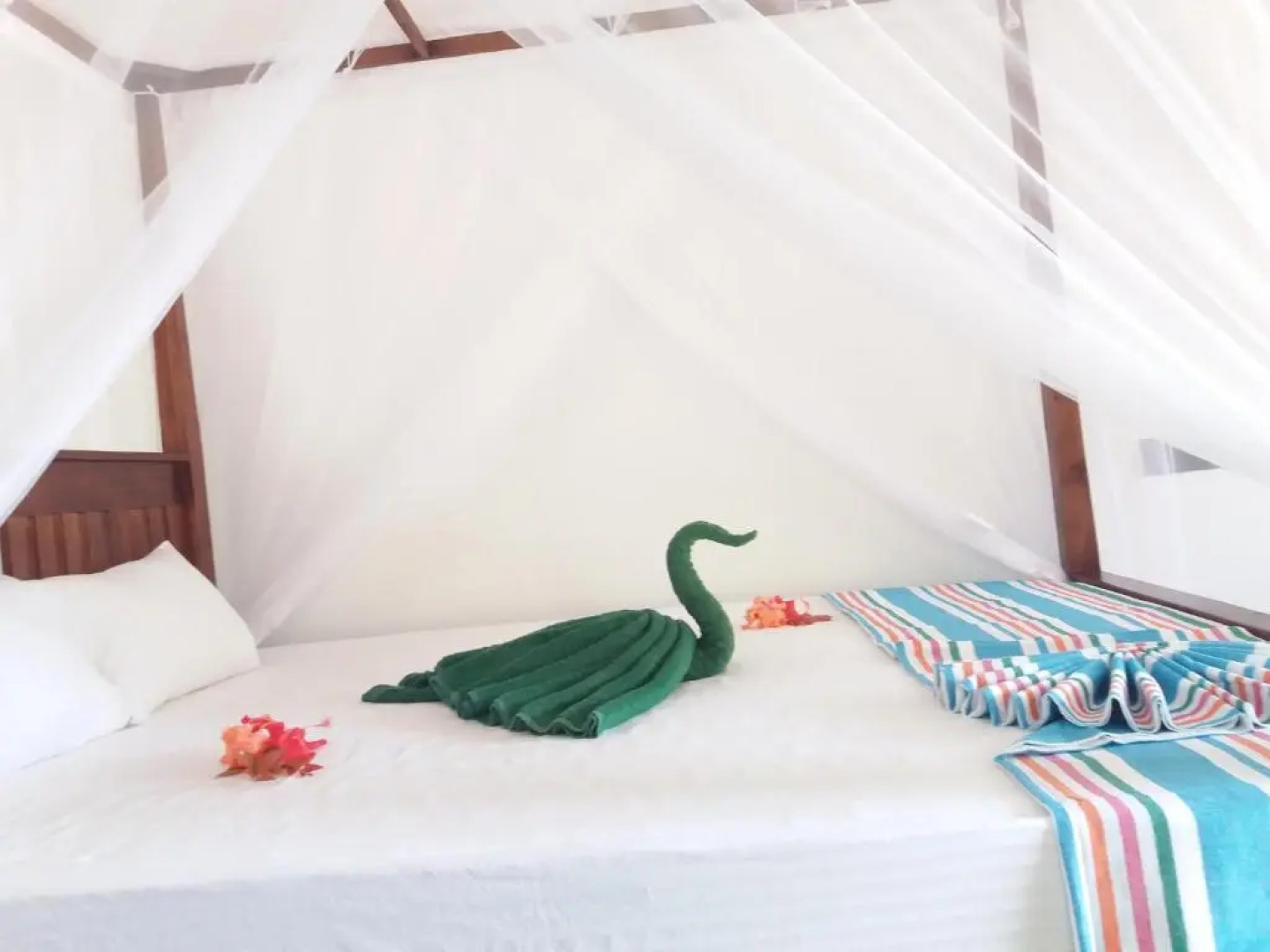 Cashew Villa Hiriketiya