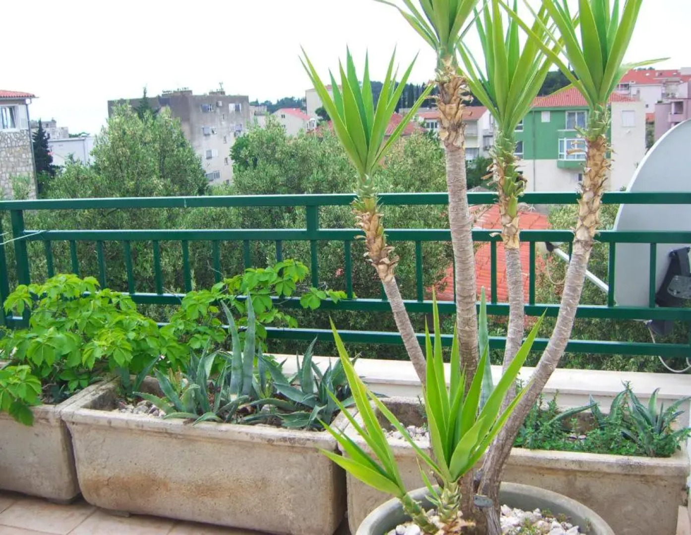 Apartment Jarak Center Makarska