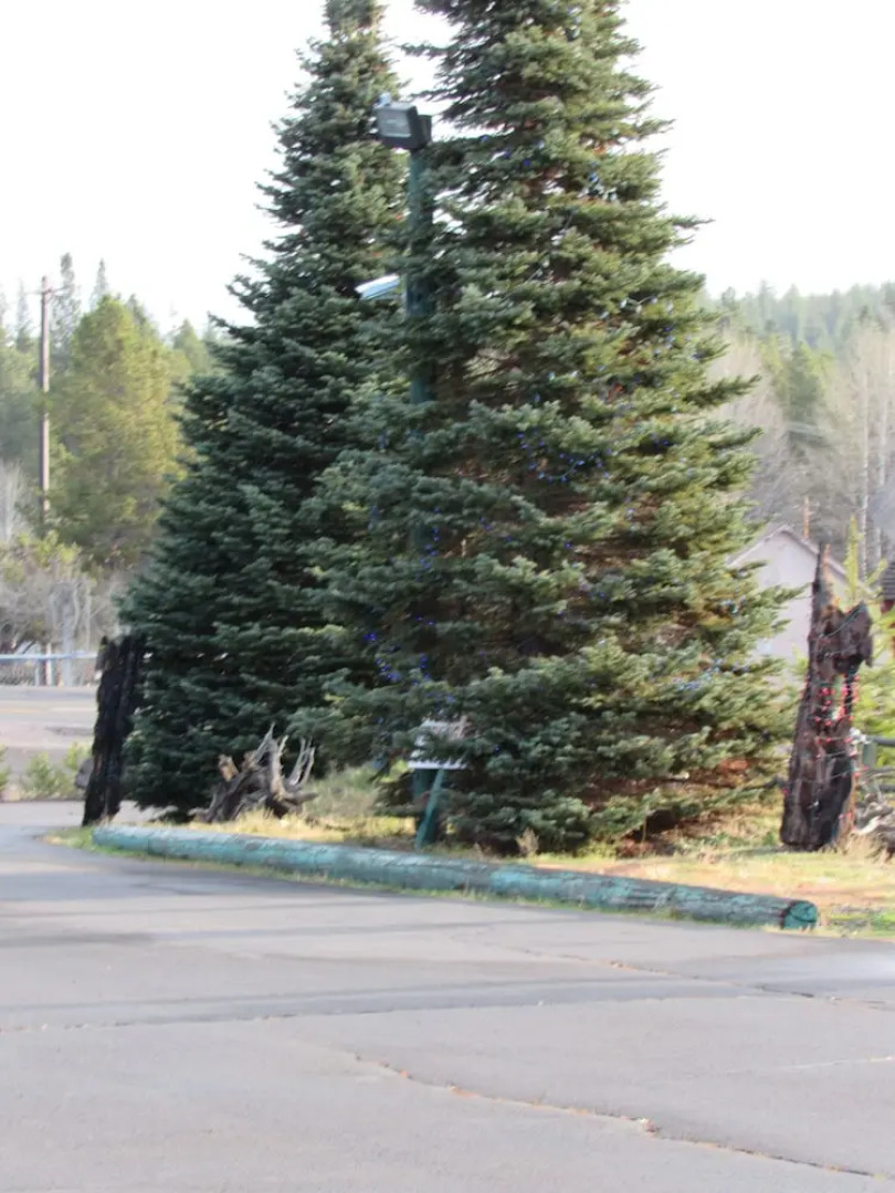 The Woodsman Country Lodge