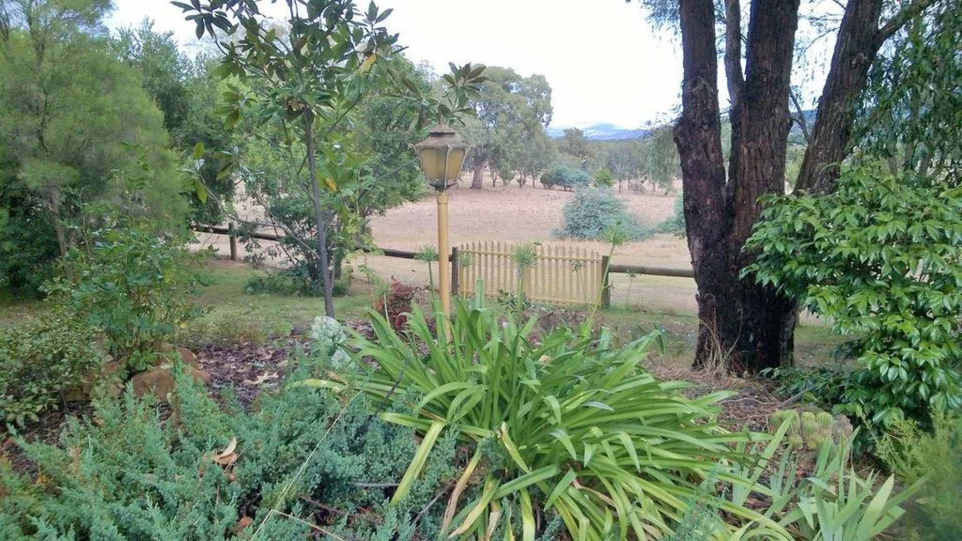 Russellee Bed and Breakfast