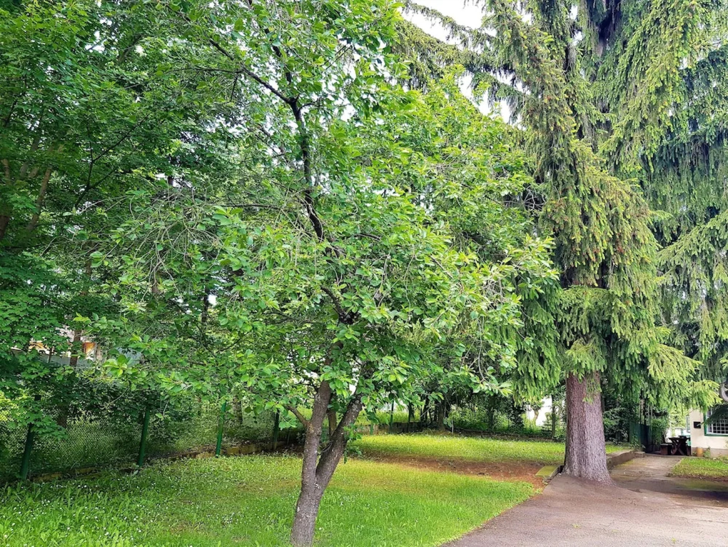 Muskátli Üdülőház