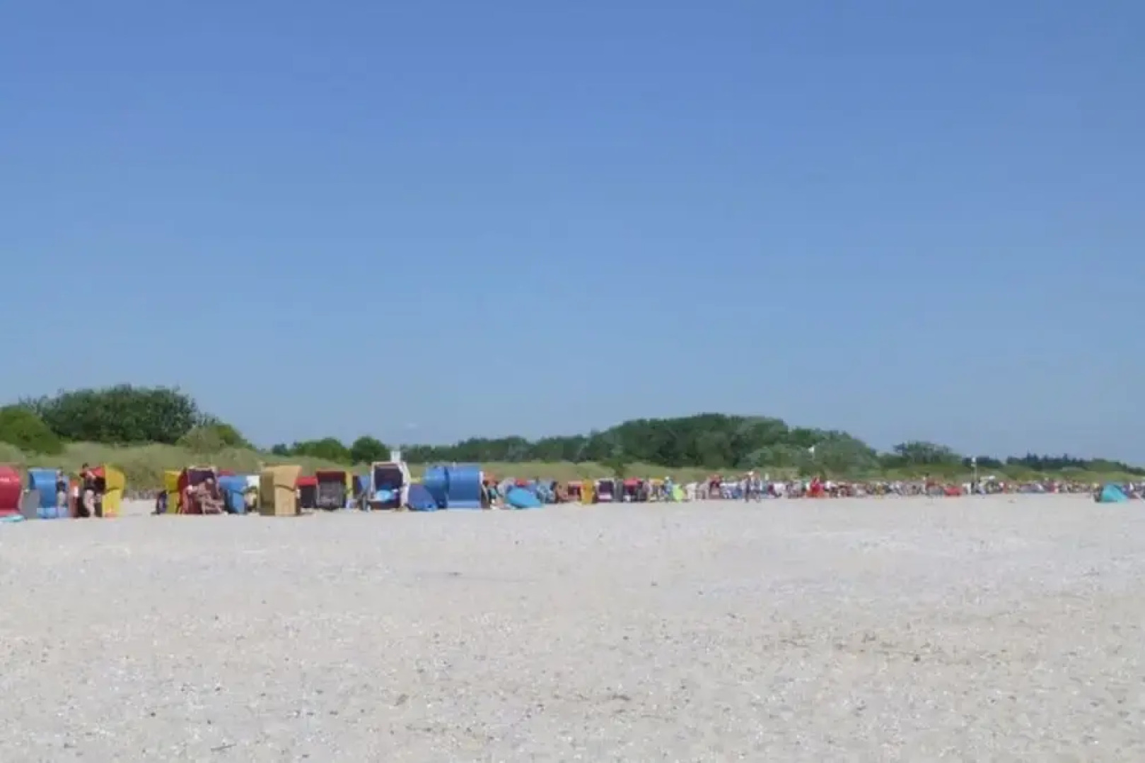 Holiday Home Gray Seal