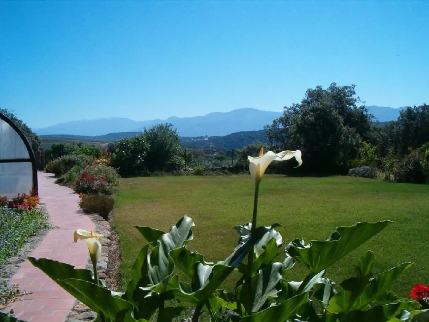 Apartamentos El Jardin del Poeta