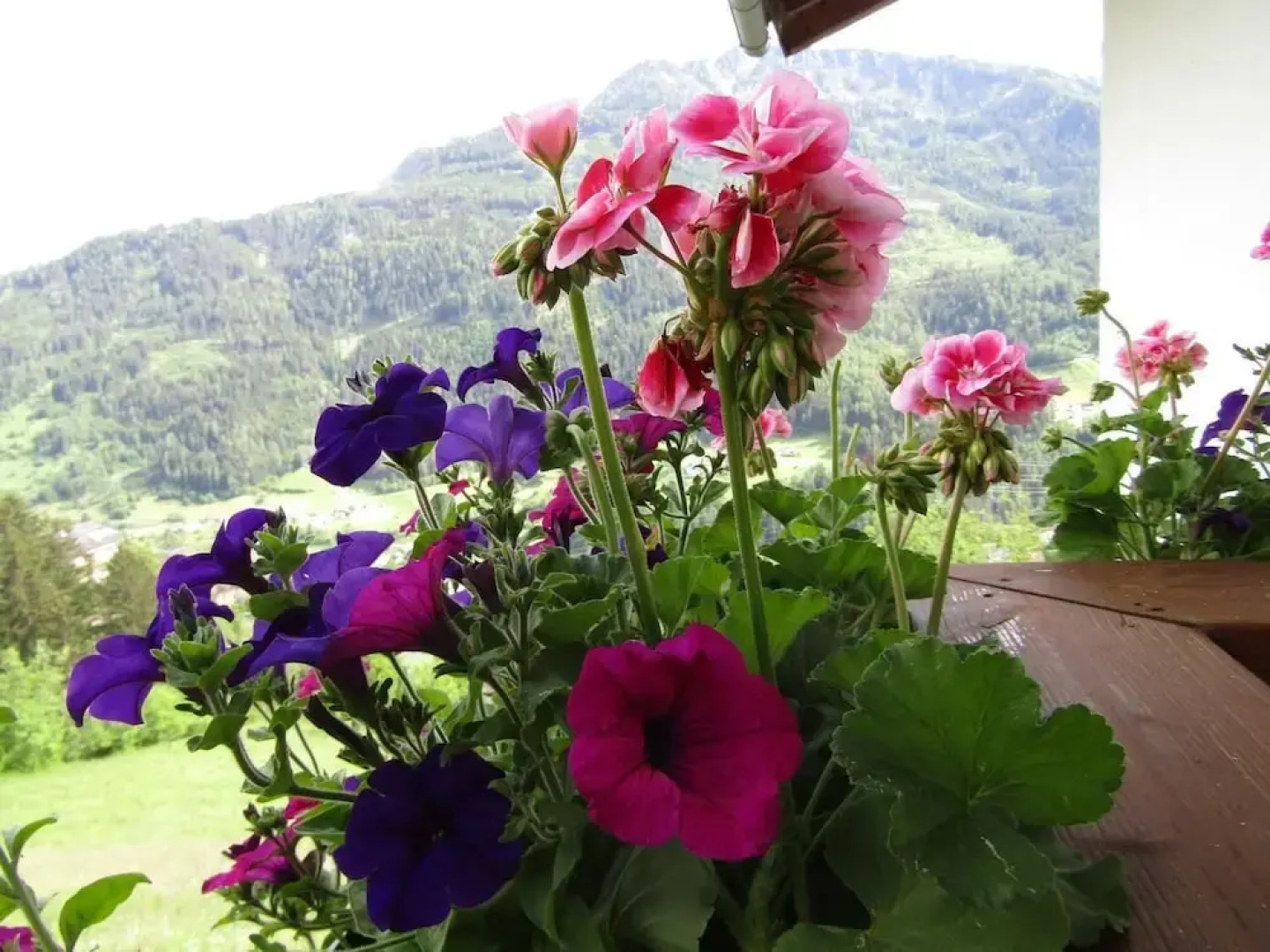 Ferienwohnung Sägehof