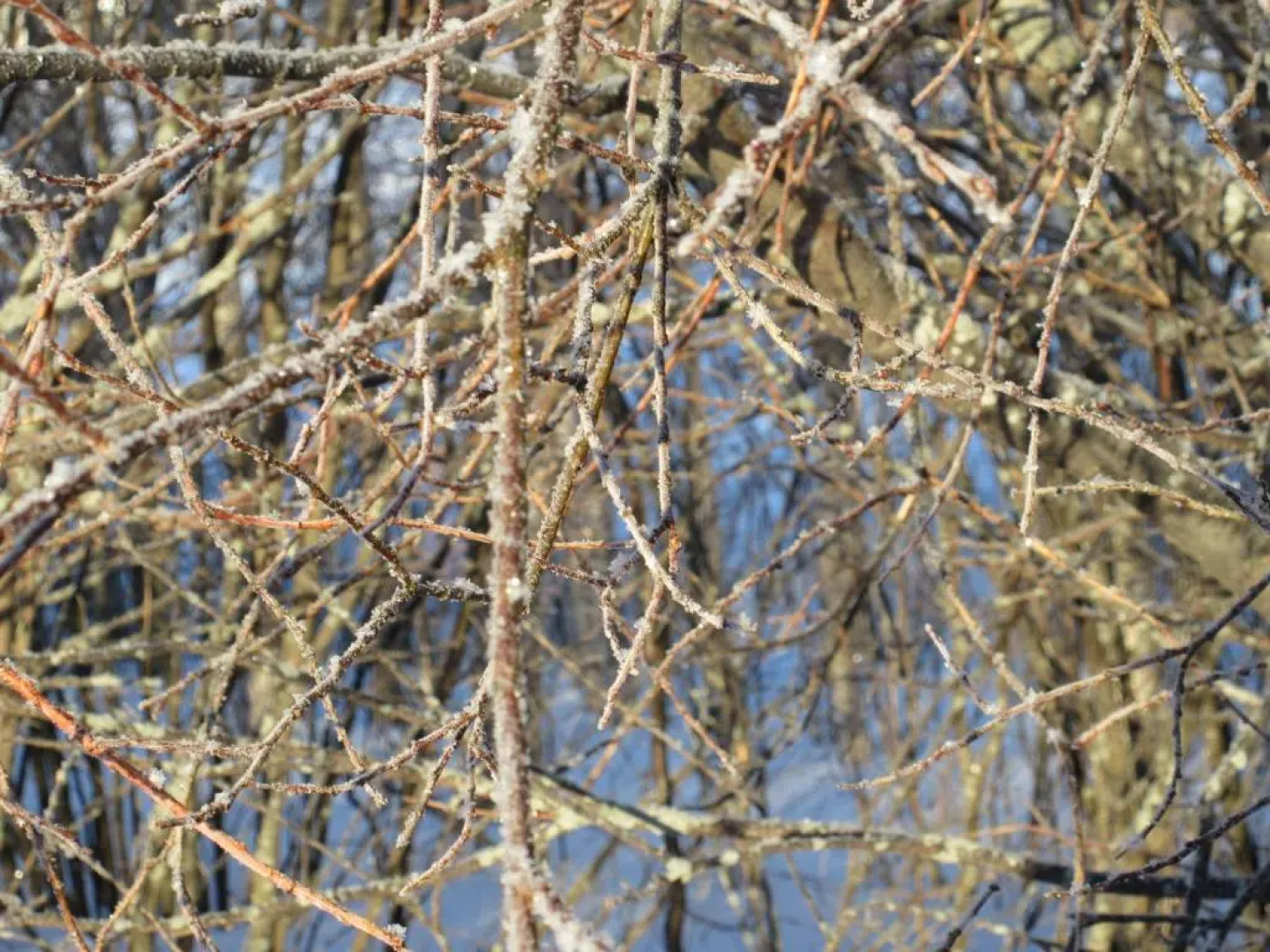 Toftemo turiststasjon