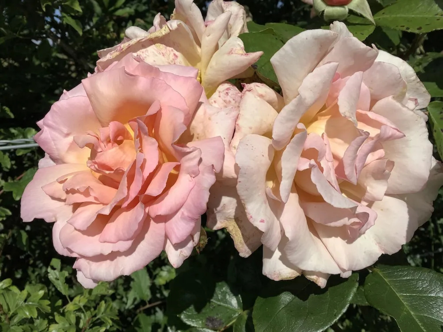 A Serene and Tranquil Escape for two