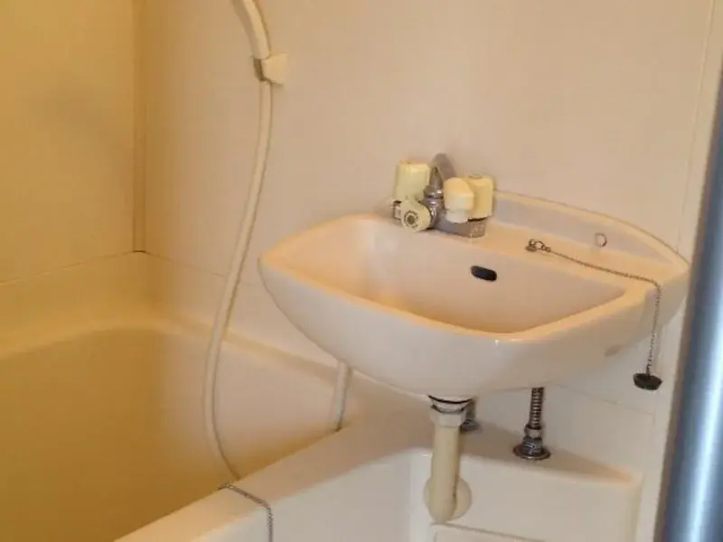 Weekly Mansion Nagata