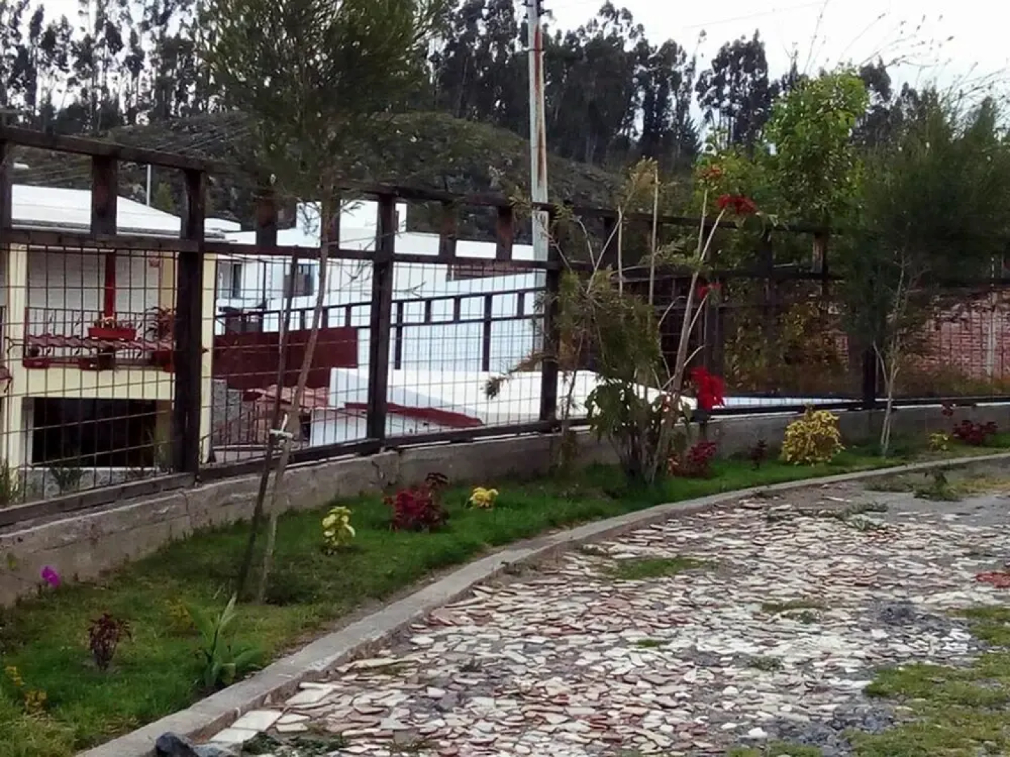La Vaca Viuda