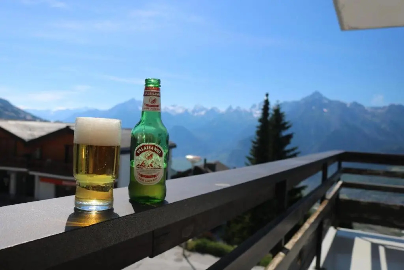 Diablerets SKI LIFT & MOUNTAIN apartments