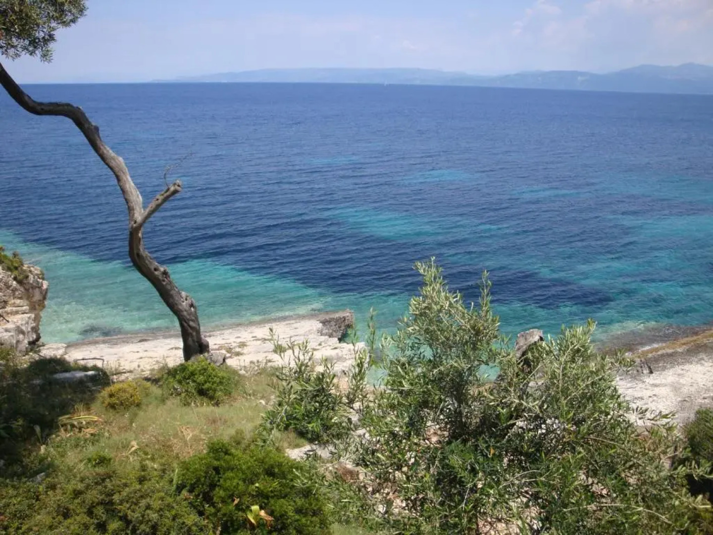 Villa Ionia apartment