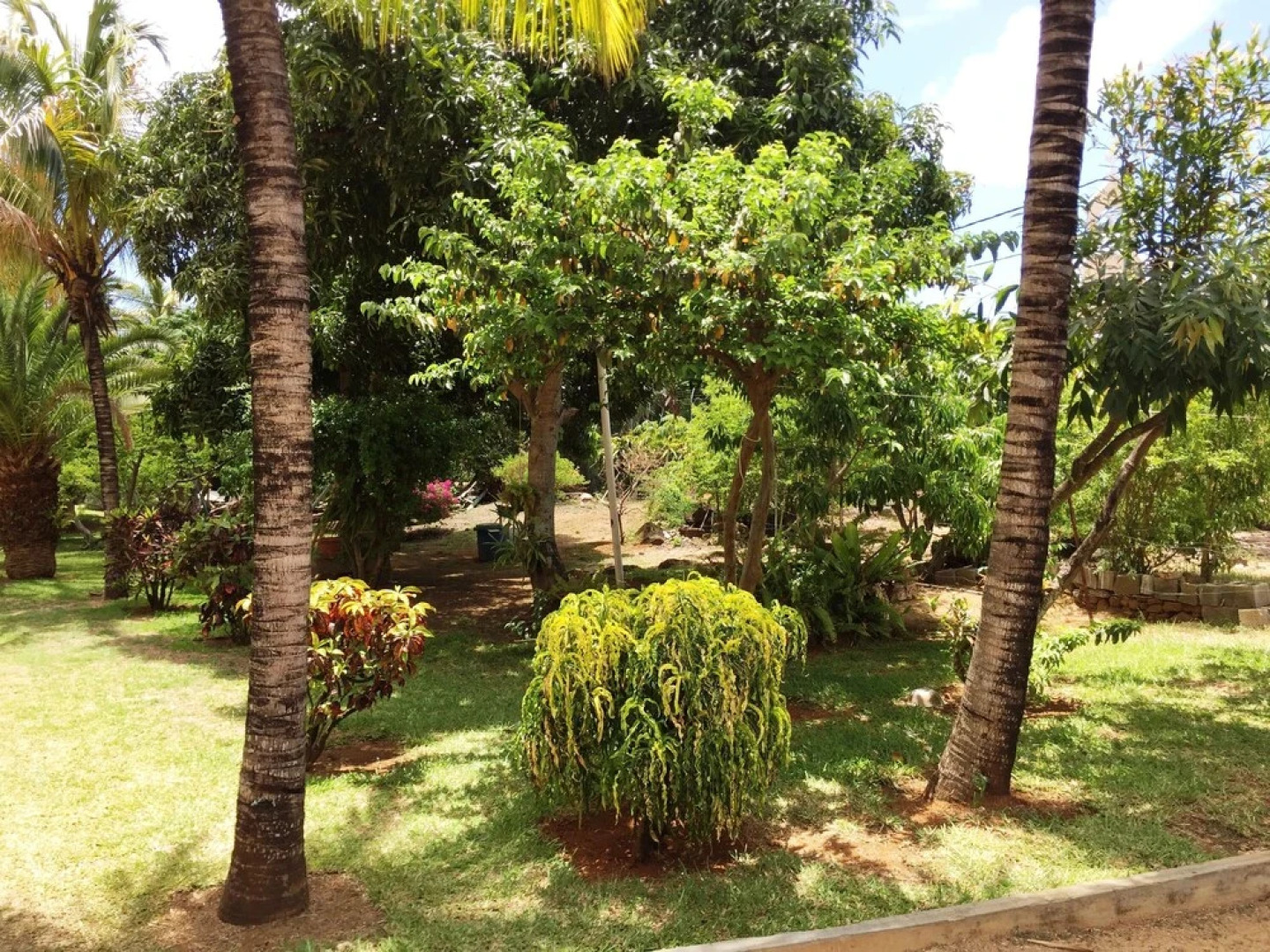 Bungalow for Families and Friends by the sea and Pool - by Feelluxuryholidays