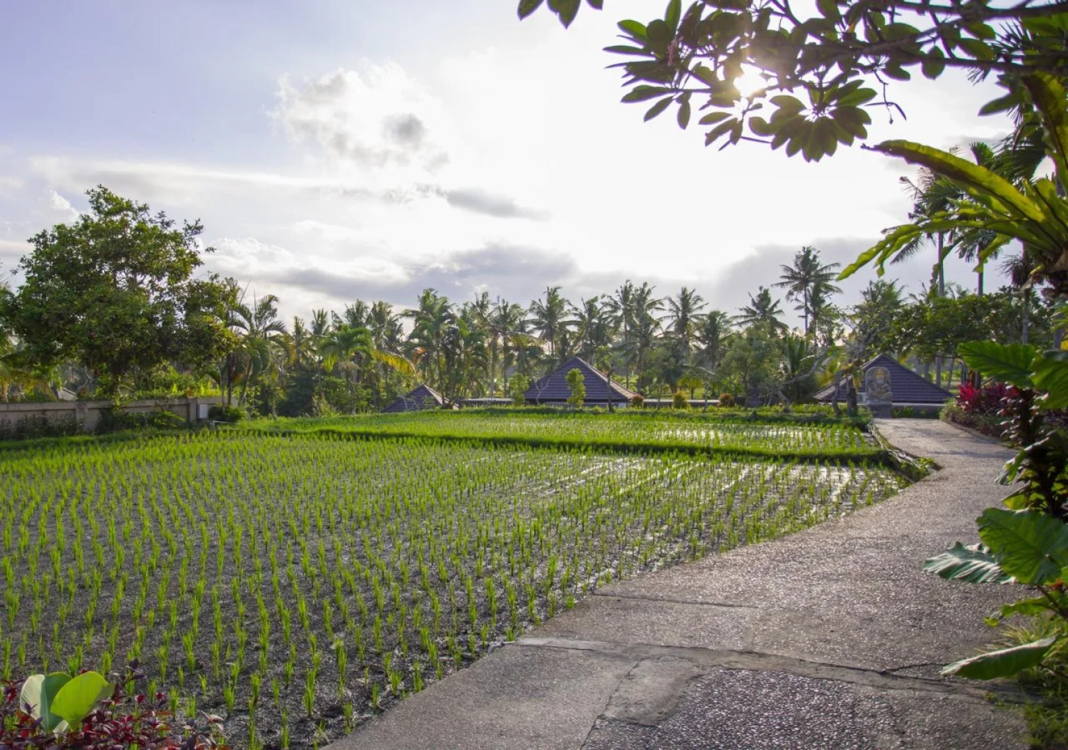 Курорт Agung Raka Resort and Villa
