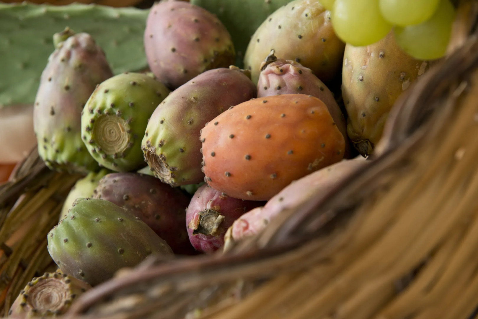 Park Hotel Sant' Elia