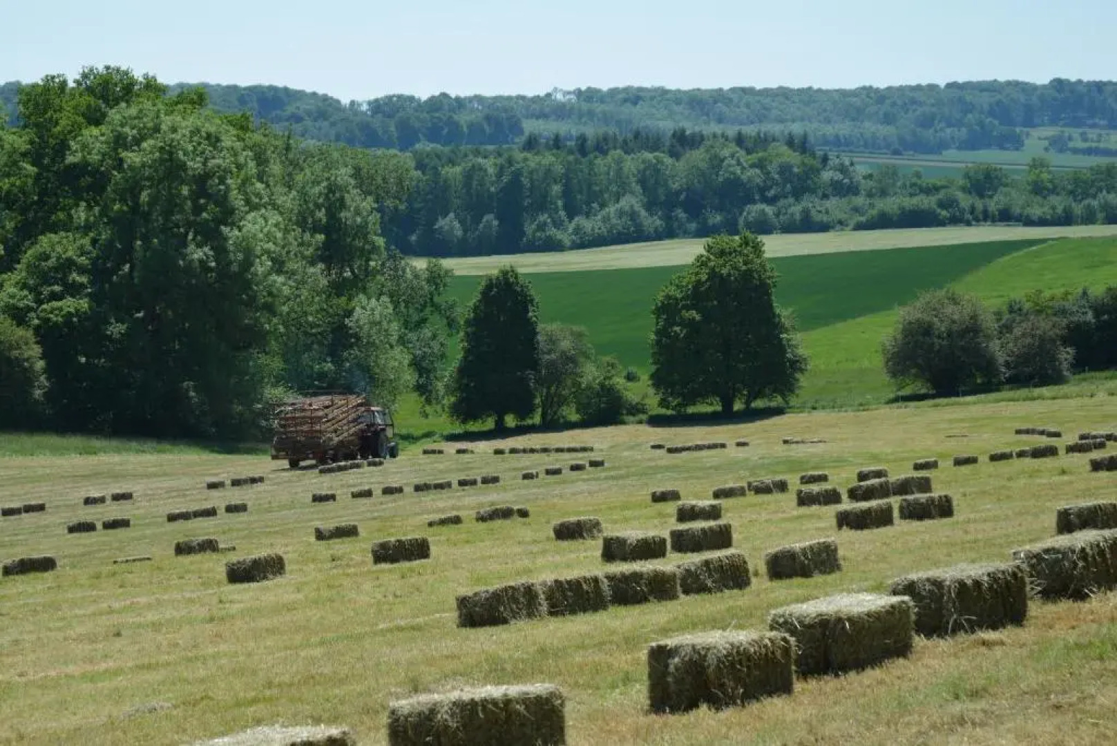 Aux 4 Saules de 4 Wilgen